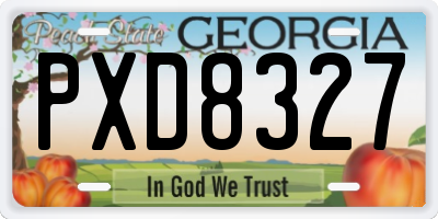 GA license plate PXD8327