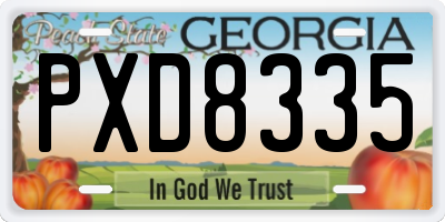 GA license plate PXD8335
