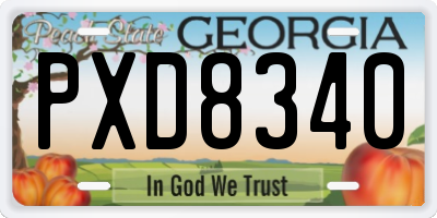 GA license plate PXD8340
