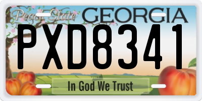 GA license plate PXD8341