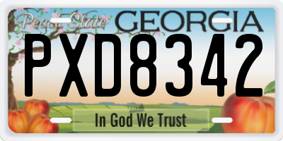 GA license plate PXD8342