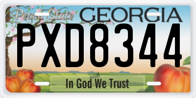 GA license plate PXD8344