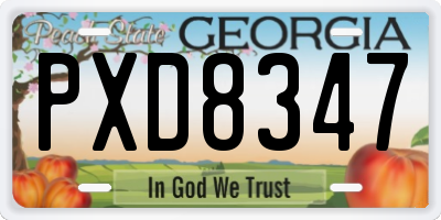 GA license plate PXD8347