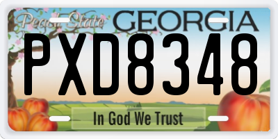 GA license plate PXD8348