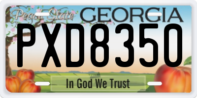 GA license plate PXD8350