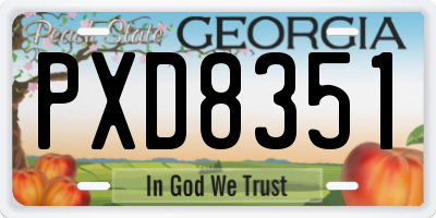 GA license plate PXD8351