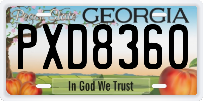 GA license plate PXD8360