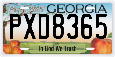 GA license plate PXD8365