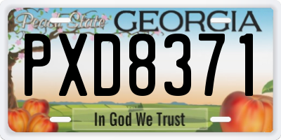GA license plate PXD8371
