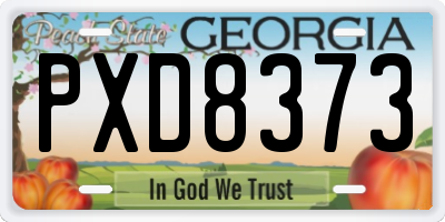 GA license plate PXD8373