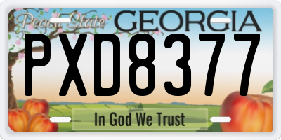 GA license plate PXD8377
