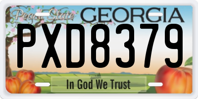 GA license plate PXD8379