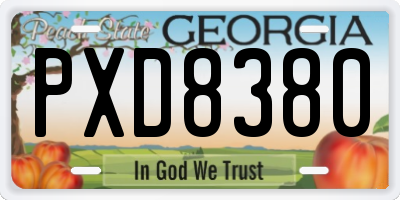 GA license plate PXD8380