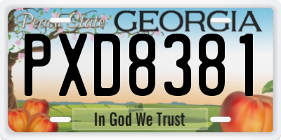 GA license plate PXD8381