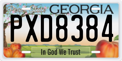 GA license plate PXD8384