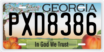 GA license plate PXD8386