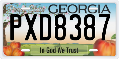 GA license plate PXD8387
