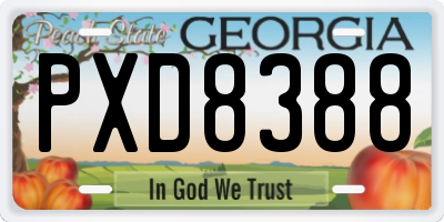 GA license plate PXD8388