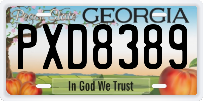 GA license plate PXD8389