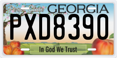 GA license plate PXD8390