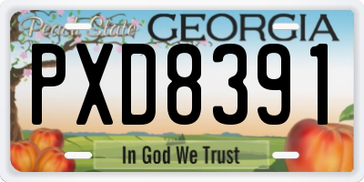 GA license plate PXD8391