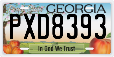 GA license plate PXD8393