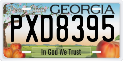 GA license plate PXD8395