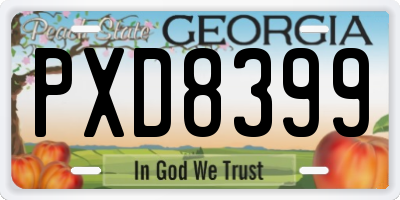 GA license plate PXD8399
