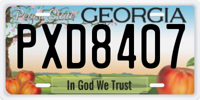 GA license plate PXD8407