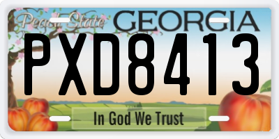 GA license plate PXD8413