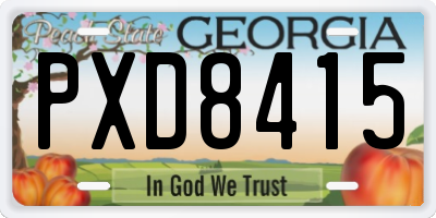 GA license plate PXD8415