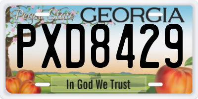 GA license plate PXD8429