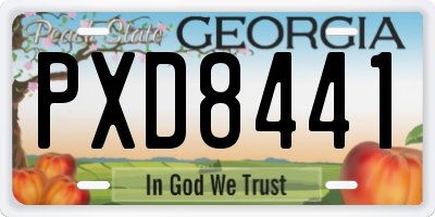 GA license plate PXD8441