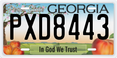GA license plate PXD8443