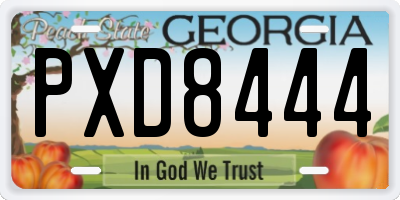 GA license plate PXD8444