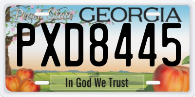 GA license plate PXD8445