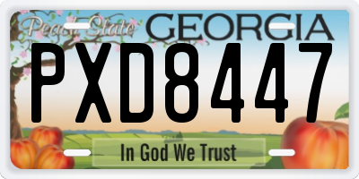 GA license plate PXD8447