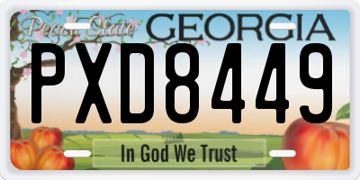 GA license plate PXD8449