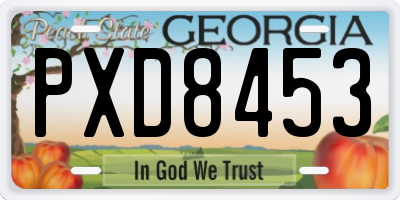 GA license plate PXD8453