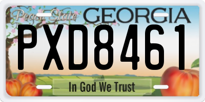GA license plate PXD8461