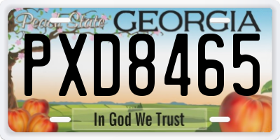 GA license plate PXD8465
