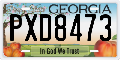 GA license plate PXD8473