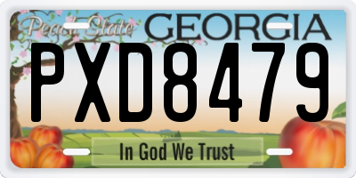GA license plate PXD8479