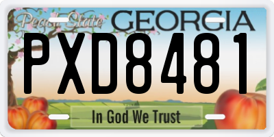 GA license plate PXD8481