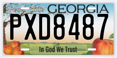 GA license plate PXD8487