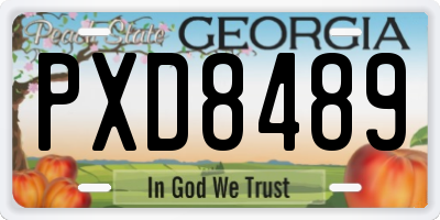 GA license plate PXD8489
