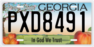 GA license plate PXD8491