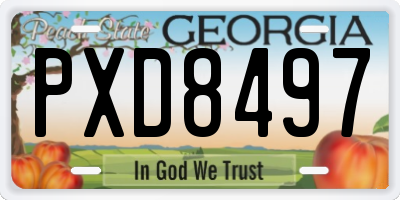 GA license plate PXD8497