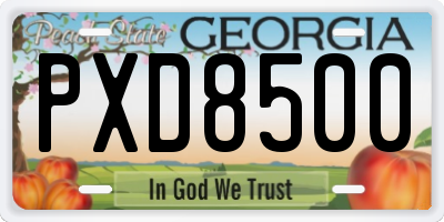 GA license plate PXD8500