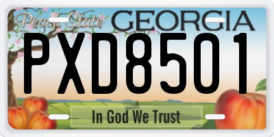 GA license plate PXD8501